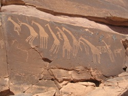 Fig. 7 - Ancient carving in southern Libya, a few kilometres north of the border with Chad.